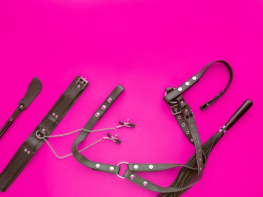 BDSM Harness